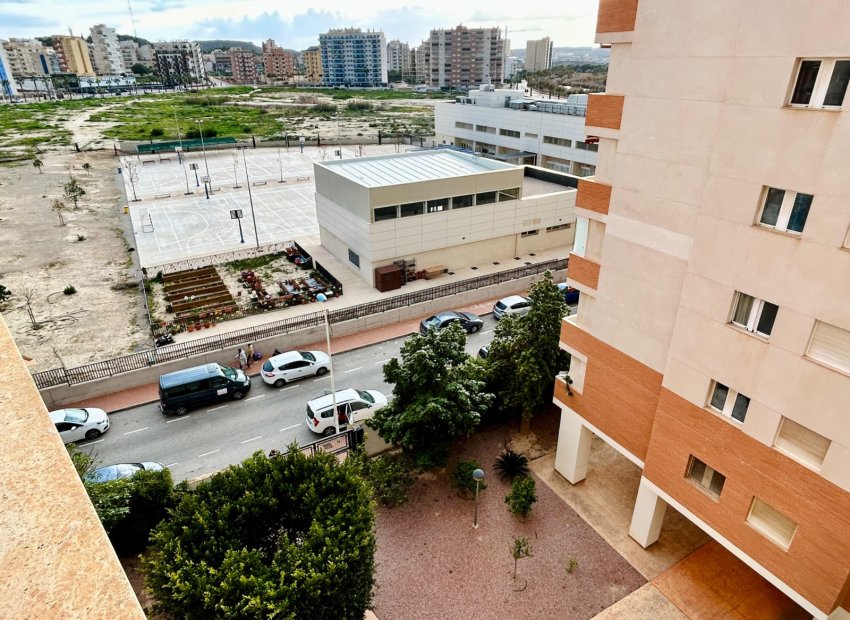 Reventa - Apartamento / piso -
Guardamar del Segura