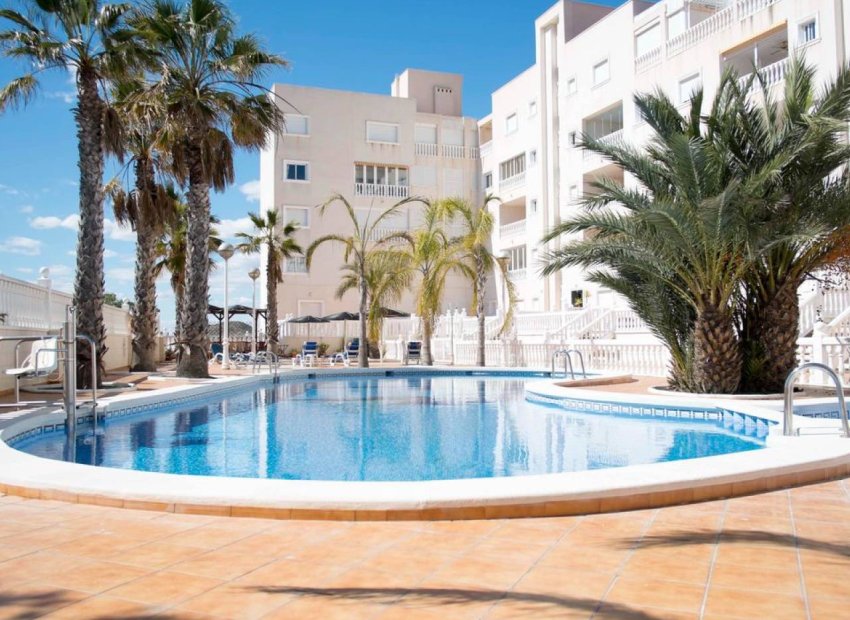 Reventa - Apartamento / piso -
Guardamar del Segura