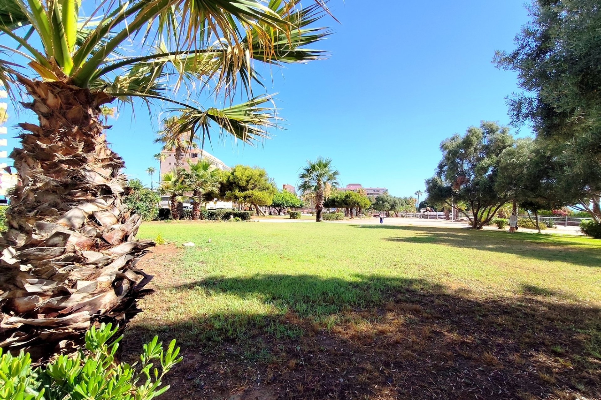 Reventa - Apartamento / piso -
La Mata