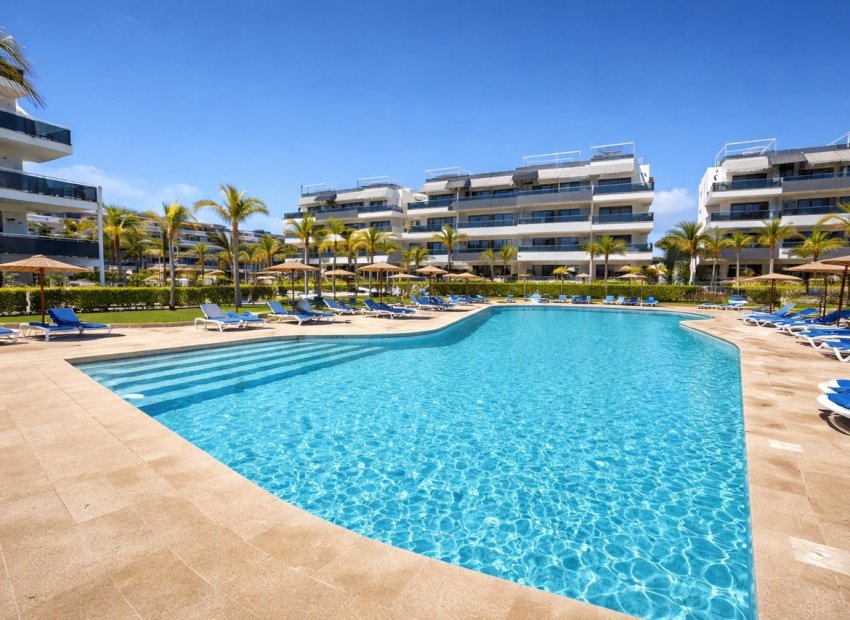 Reventa - Apartamento / piso -
Orihuela Costa - Playa Flamenca