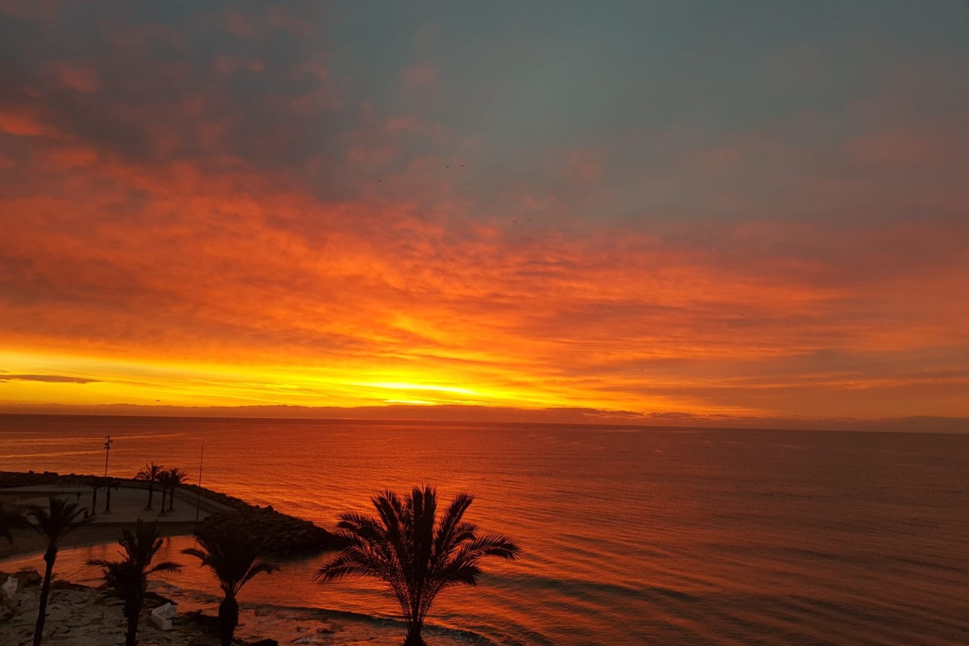 Reventa - Apartamento / piso -
Torrevieja - Playa del Cura