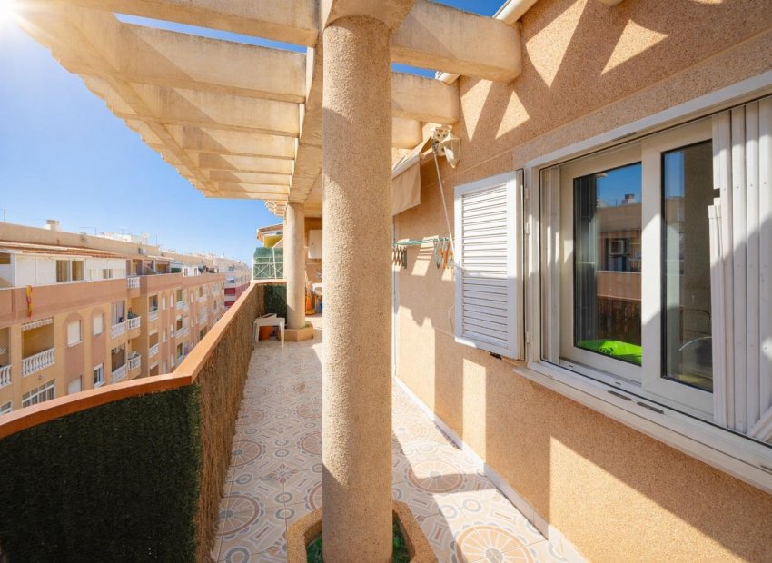 Reventa - Apartamento -
Torrevieja - Parque de Las Naciones
