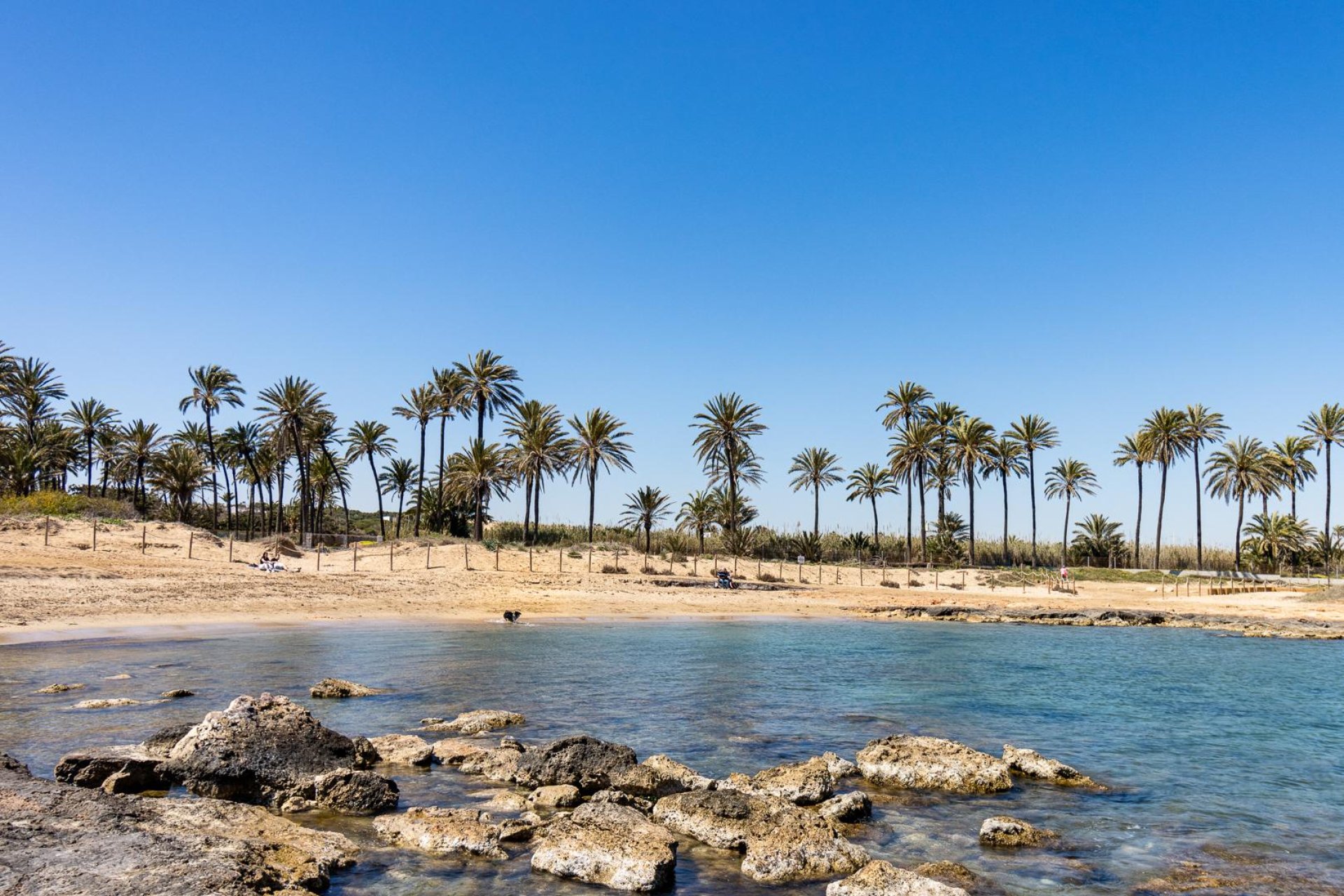Reventa - Bungalow -
Torrevieja - playa de los naufragos