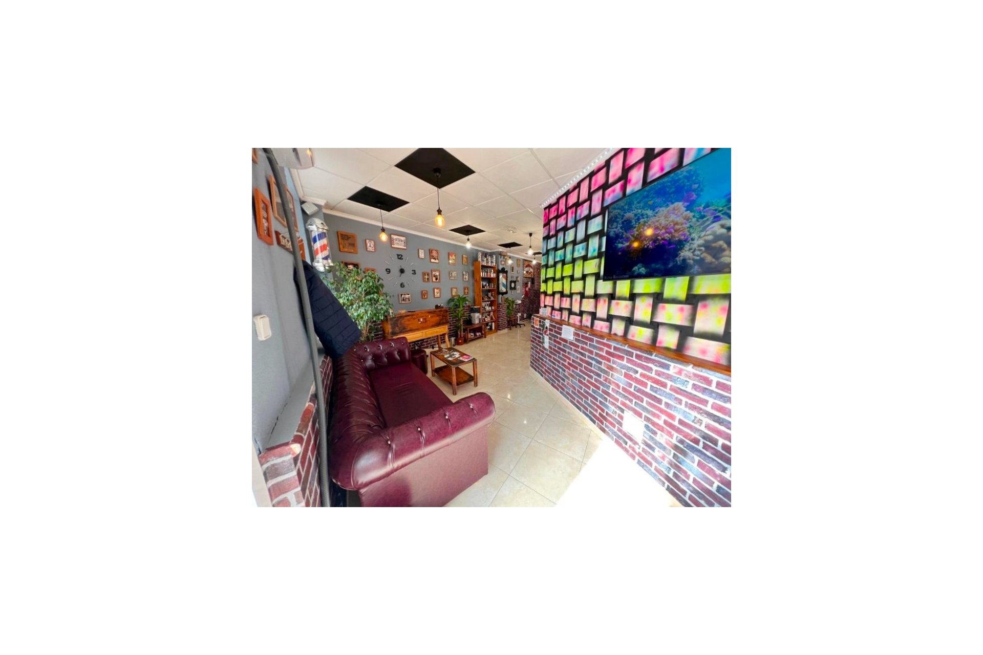 Reventa - Comercial -
Guardamar del Segura - Guardamar