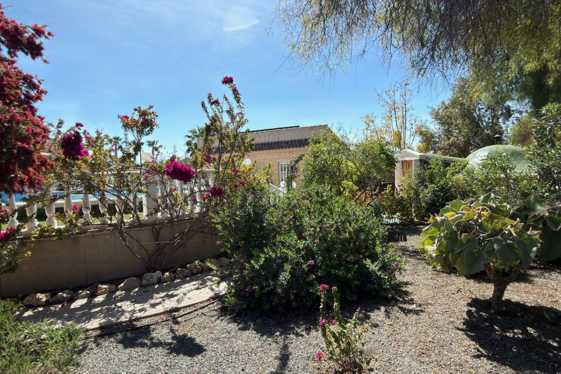 Reventa - Finca -
Catral