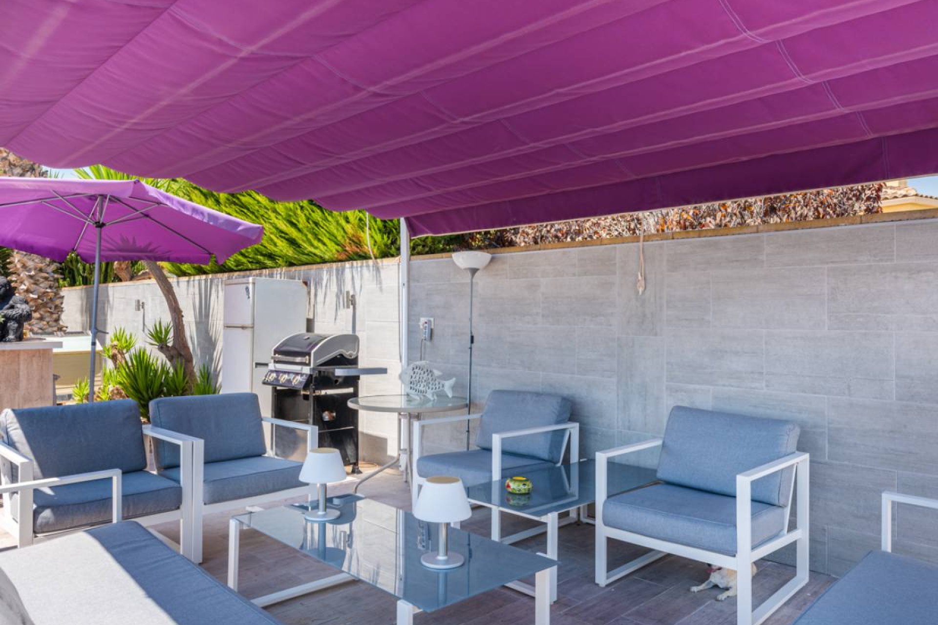 Reventa - Finca -
Catral