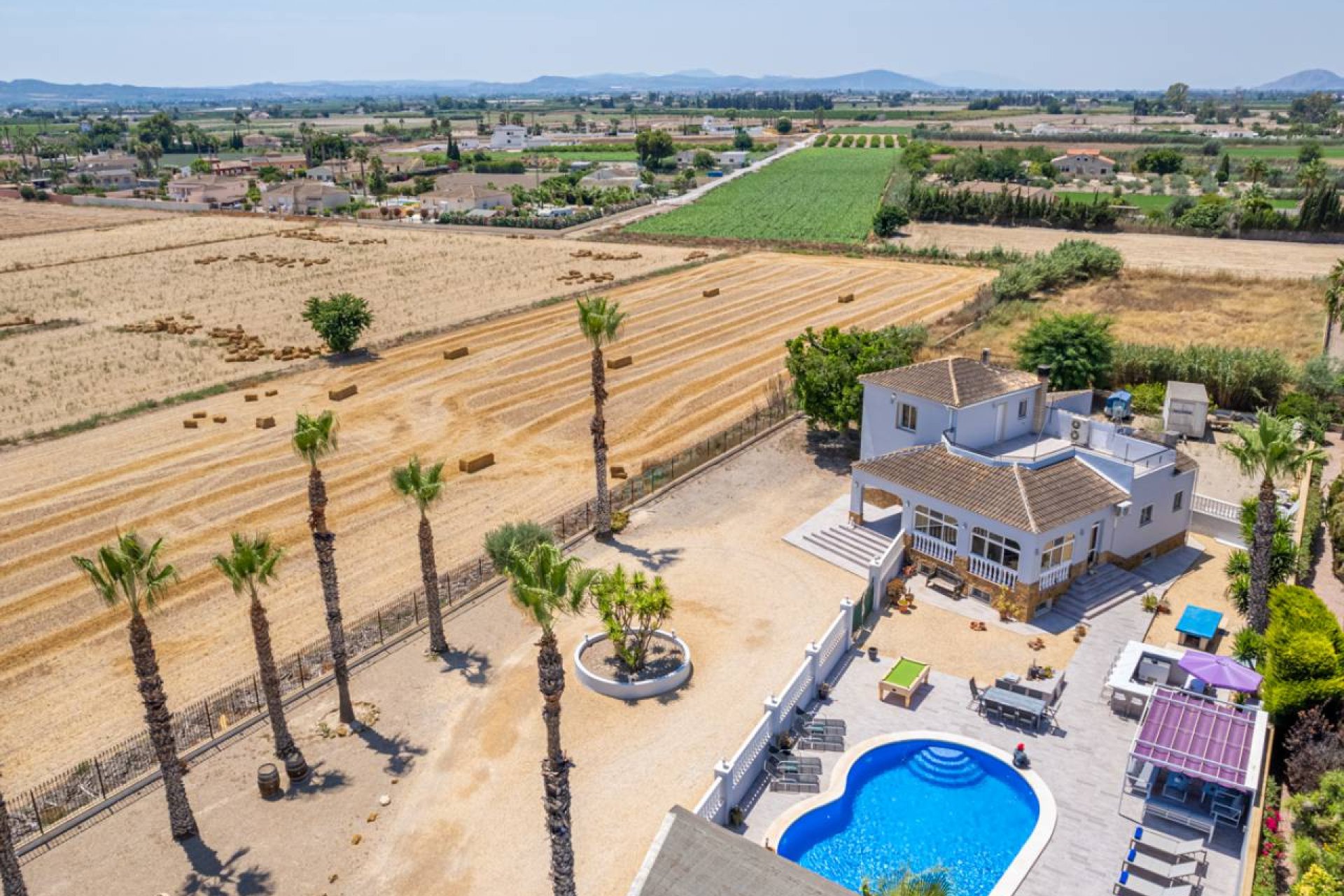 Reventa - Finca -
Catral