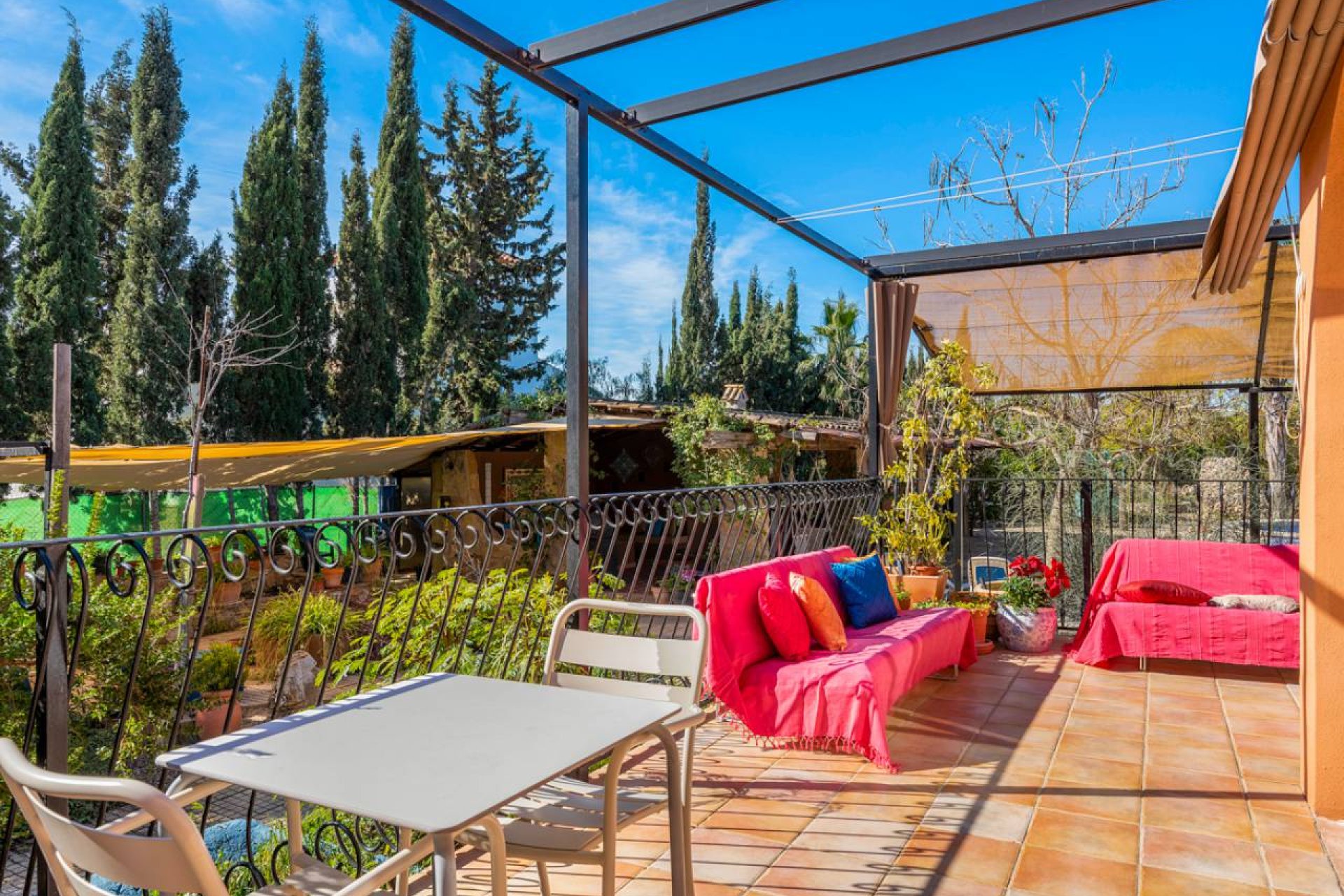 Reventa - Finca -
Catral