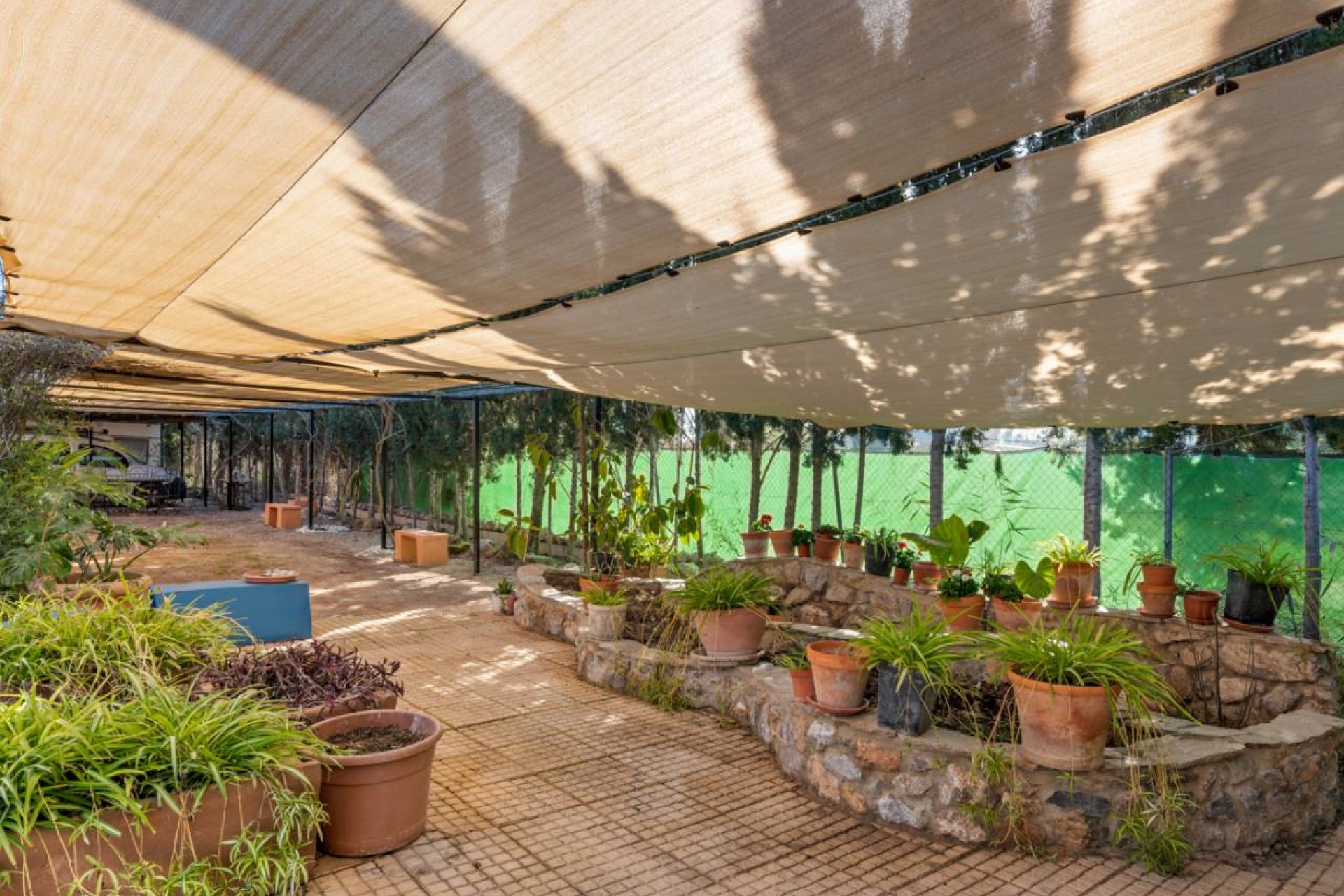 Reventa - Finca -
Catral