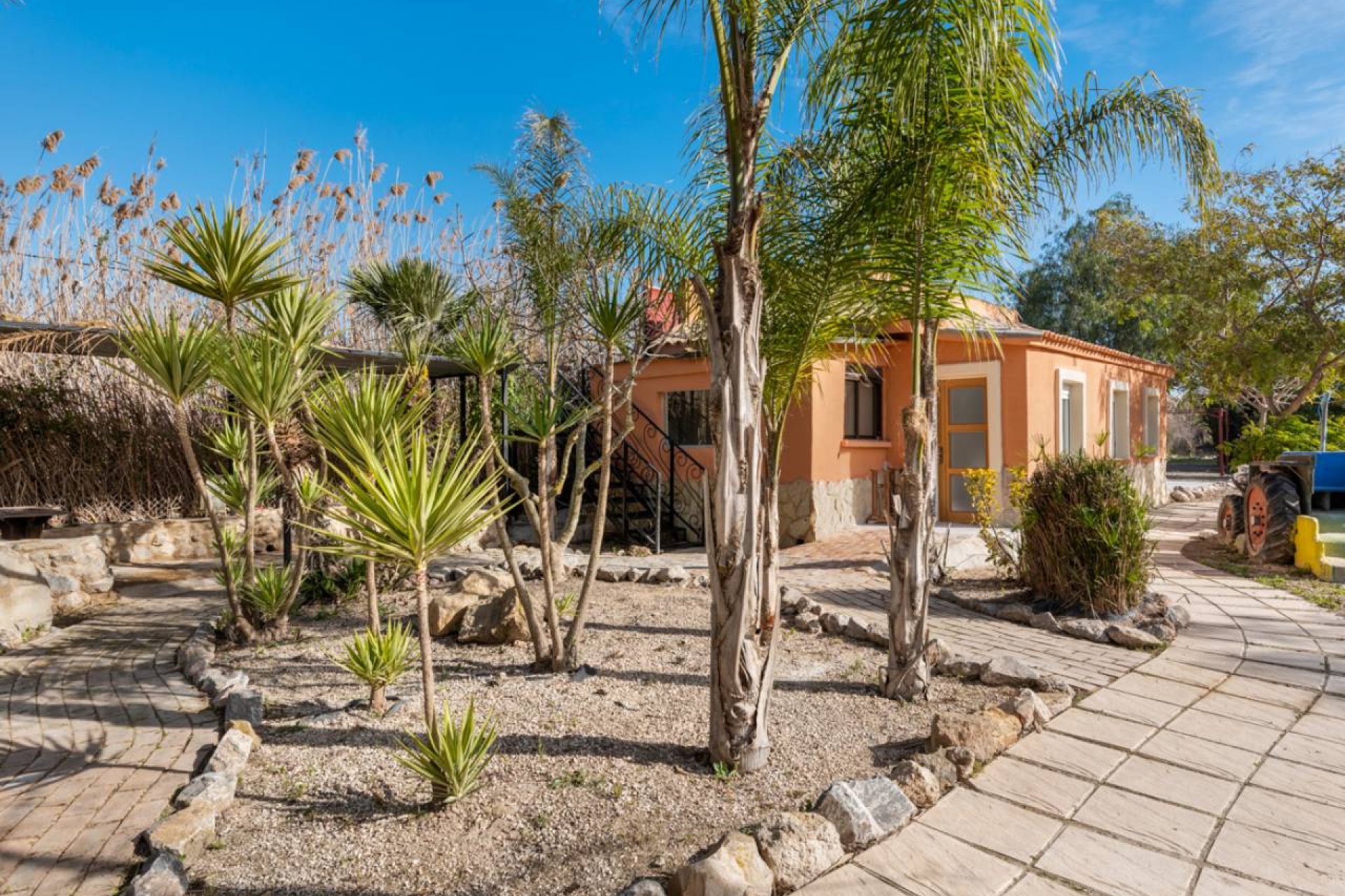 Reventa - Finca -
Catral