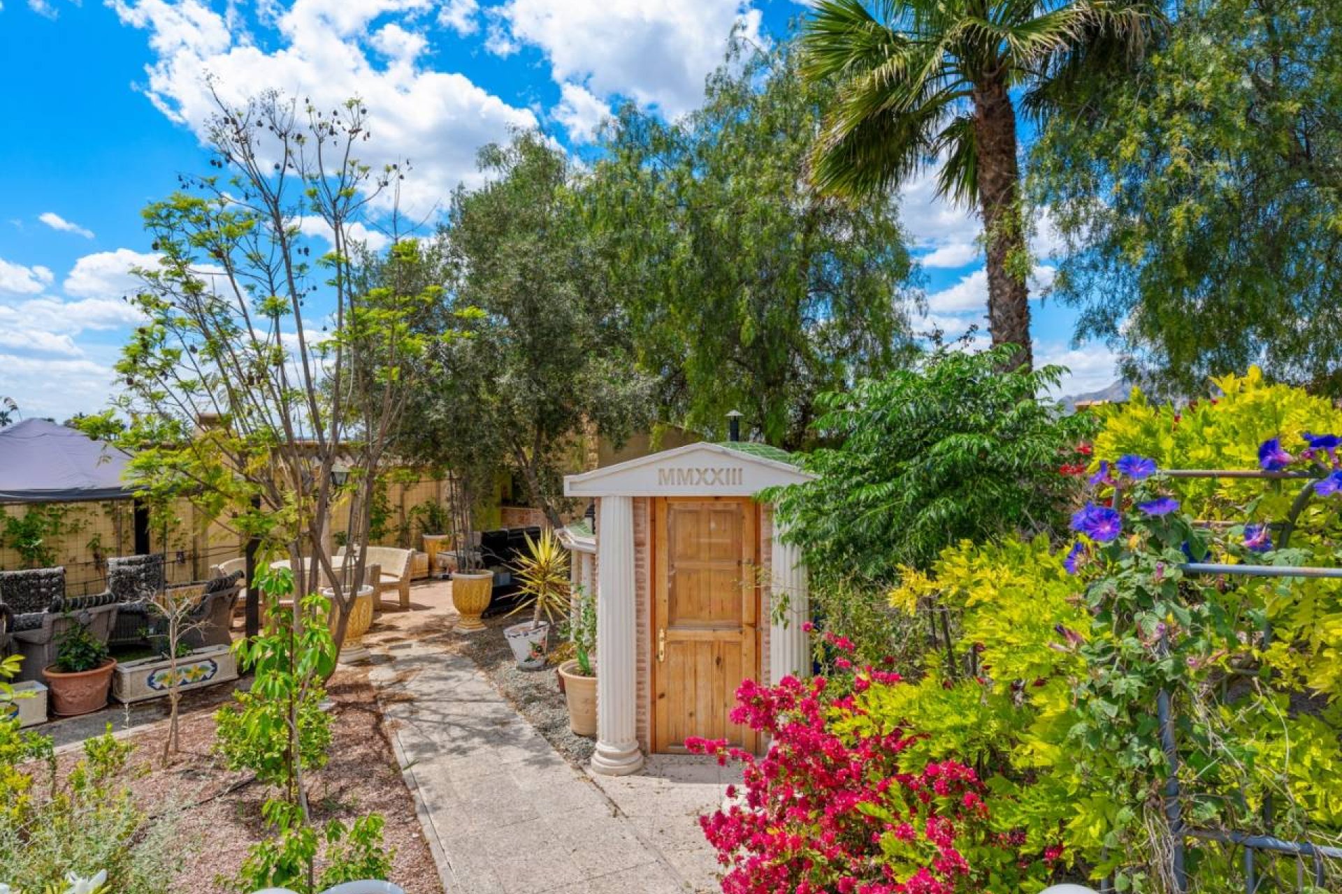 Reventa - Finca -
Catral