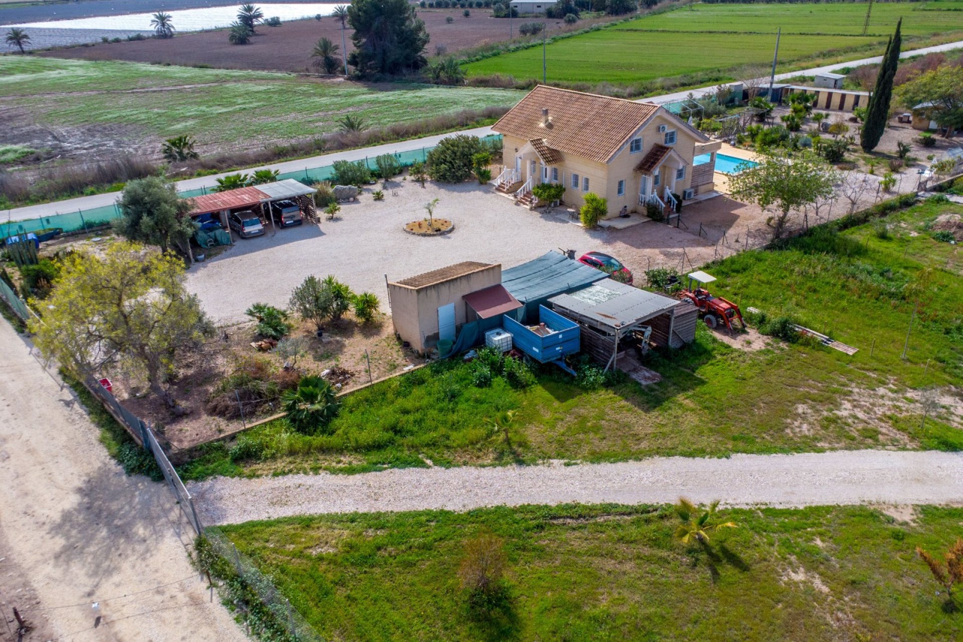 Reventa - Finca -
Crevillente