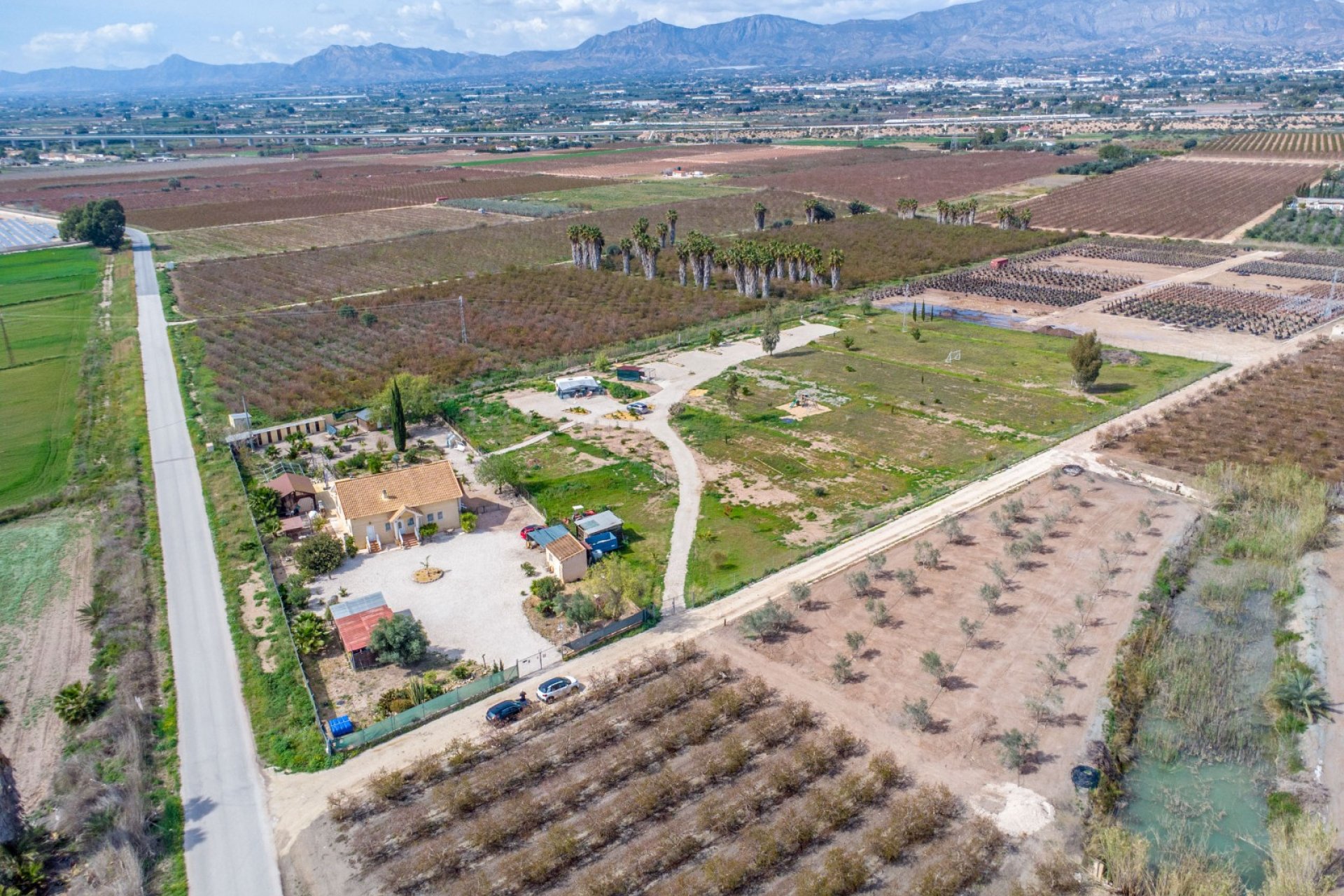 Reventa - Finca -
Crevillente
