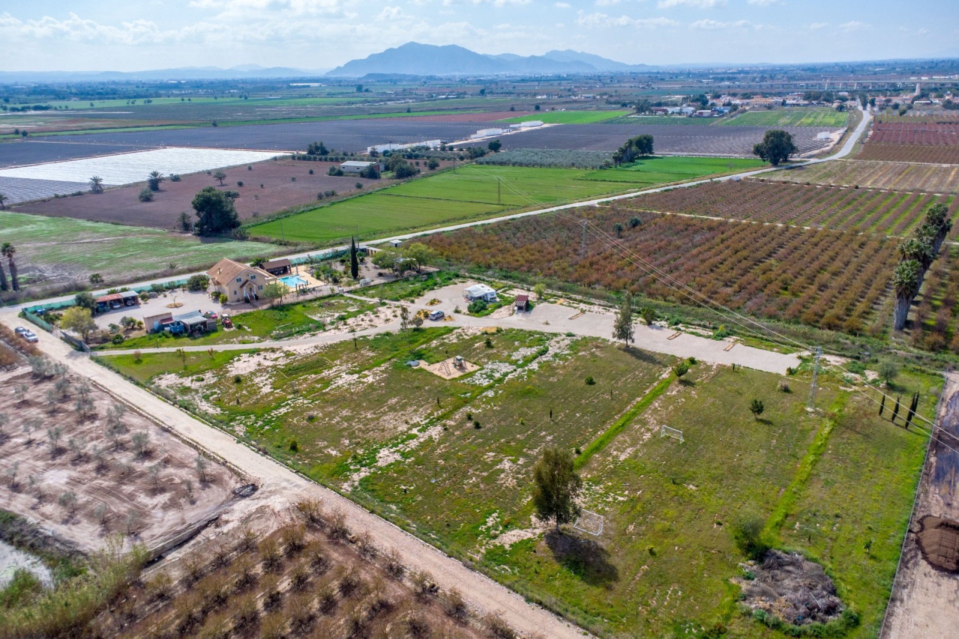 Reventa - Finca -
Crevillente