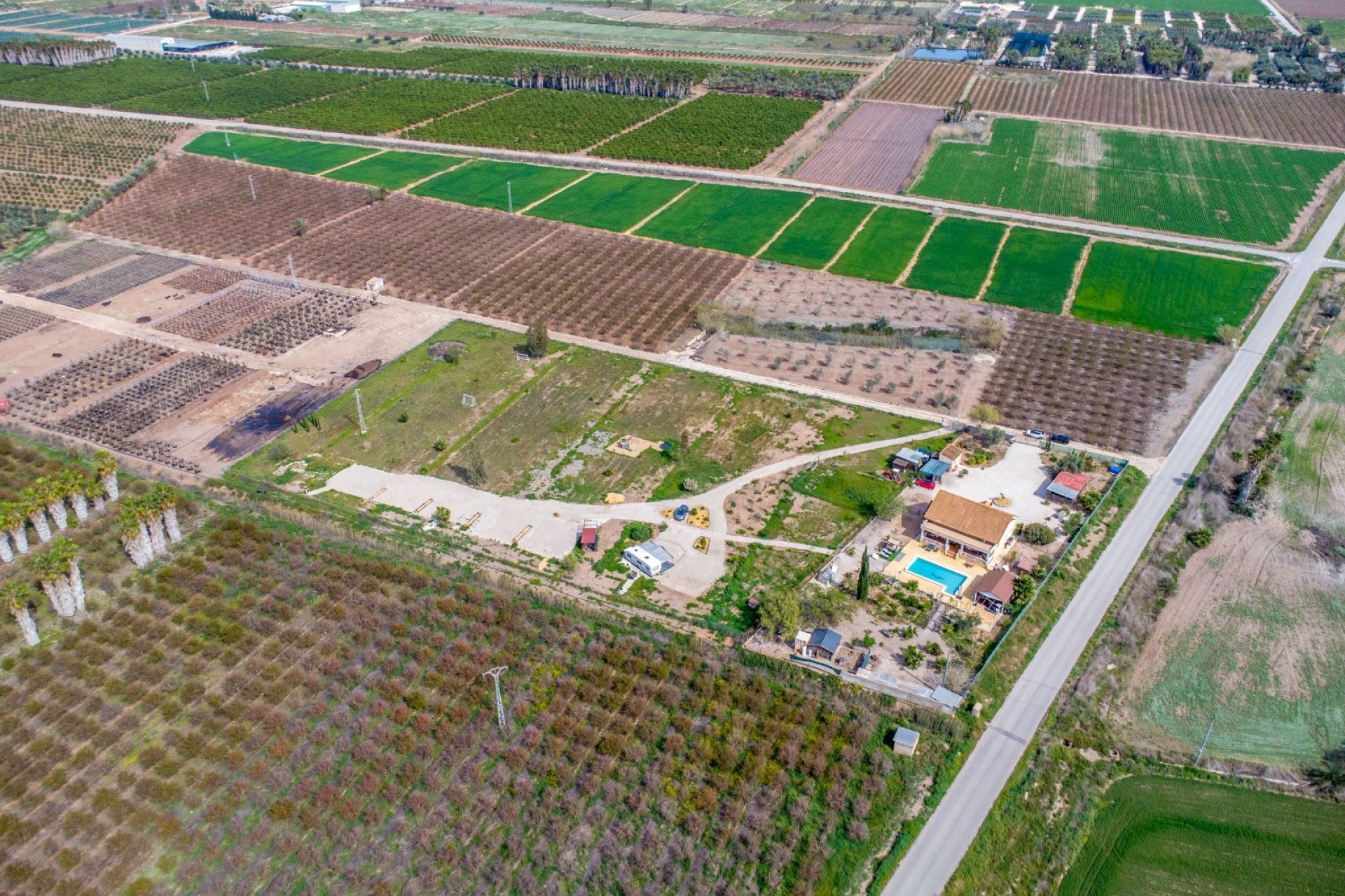 Reventa - Finca -
Crevillente