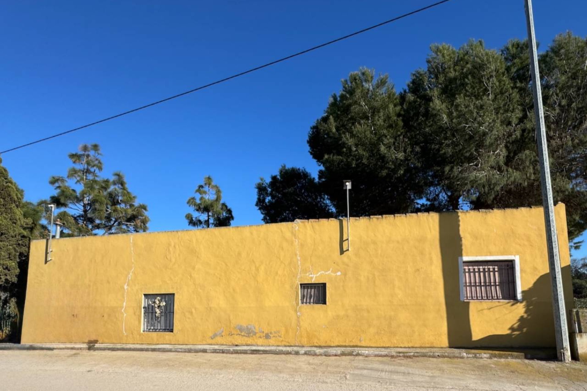 Reventa - Finca -
Guardamar del Segura