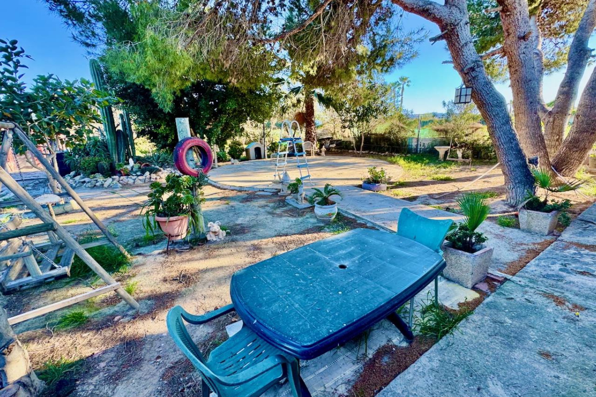 Reventa - Finca -
Guardamar del Segura