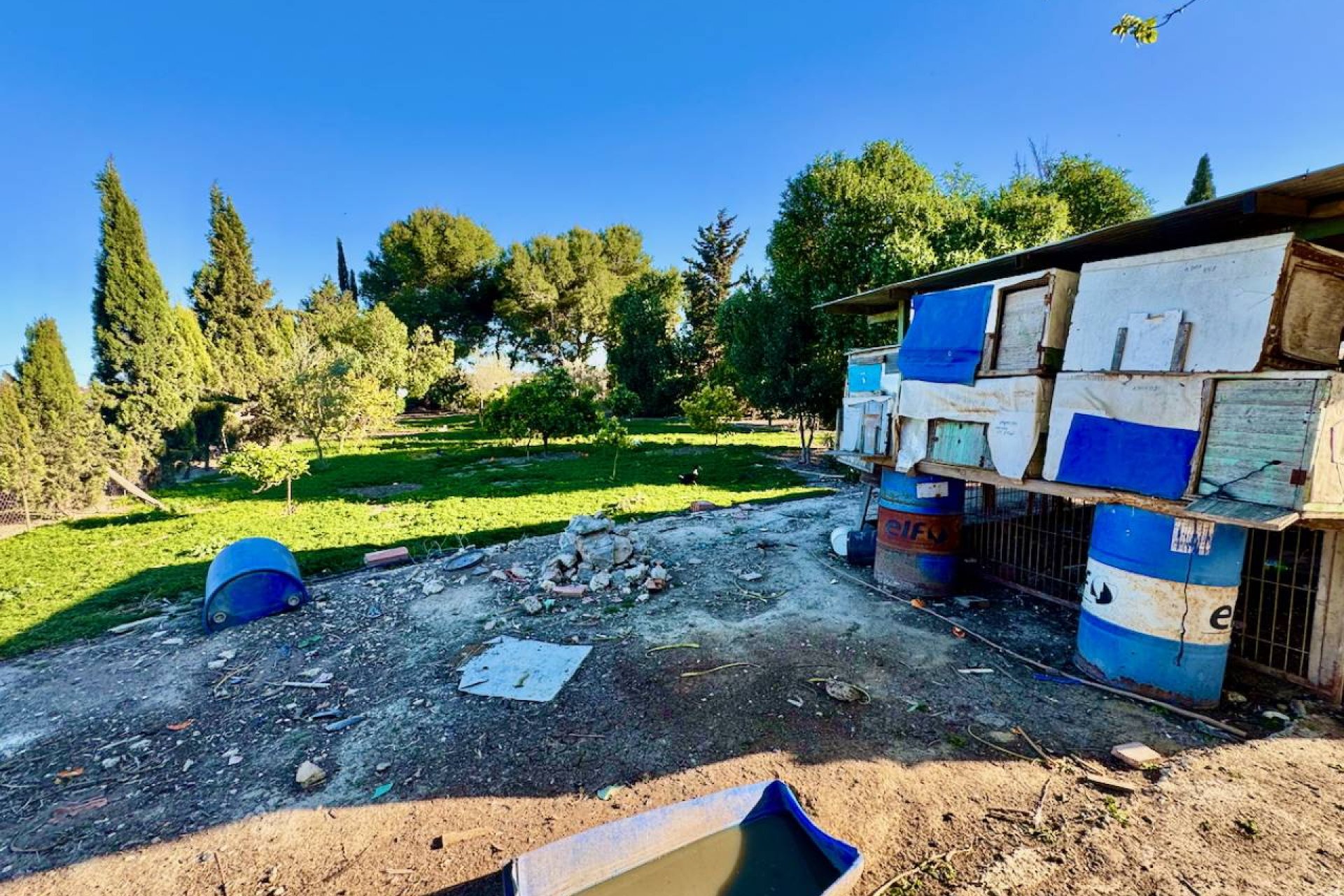 Reventa - Finca -
Guardamar del Segura