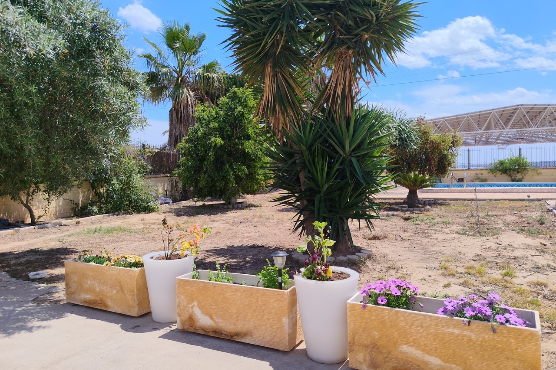 Reventa - Finca -
Los Montesinos