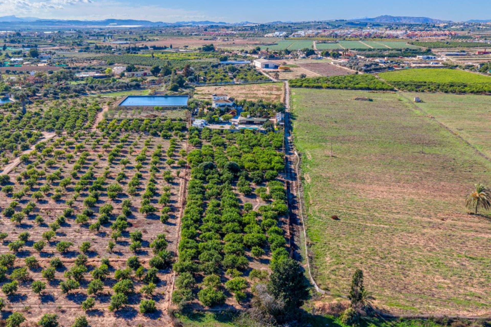 Reventa - Finca -
Los Montesinos