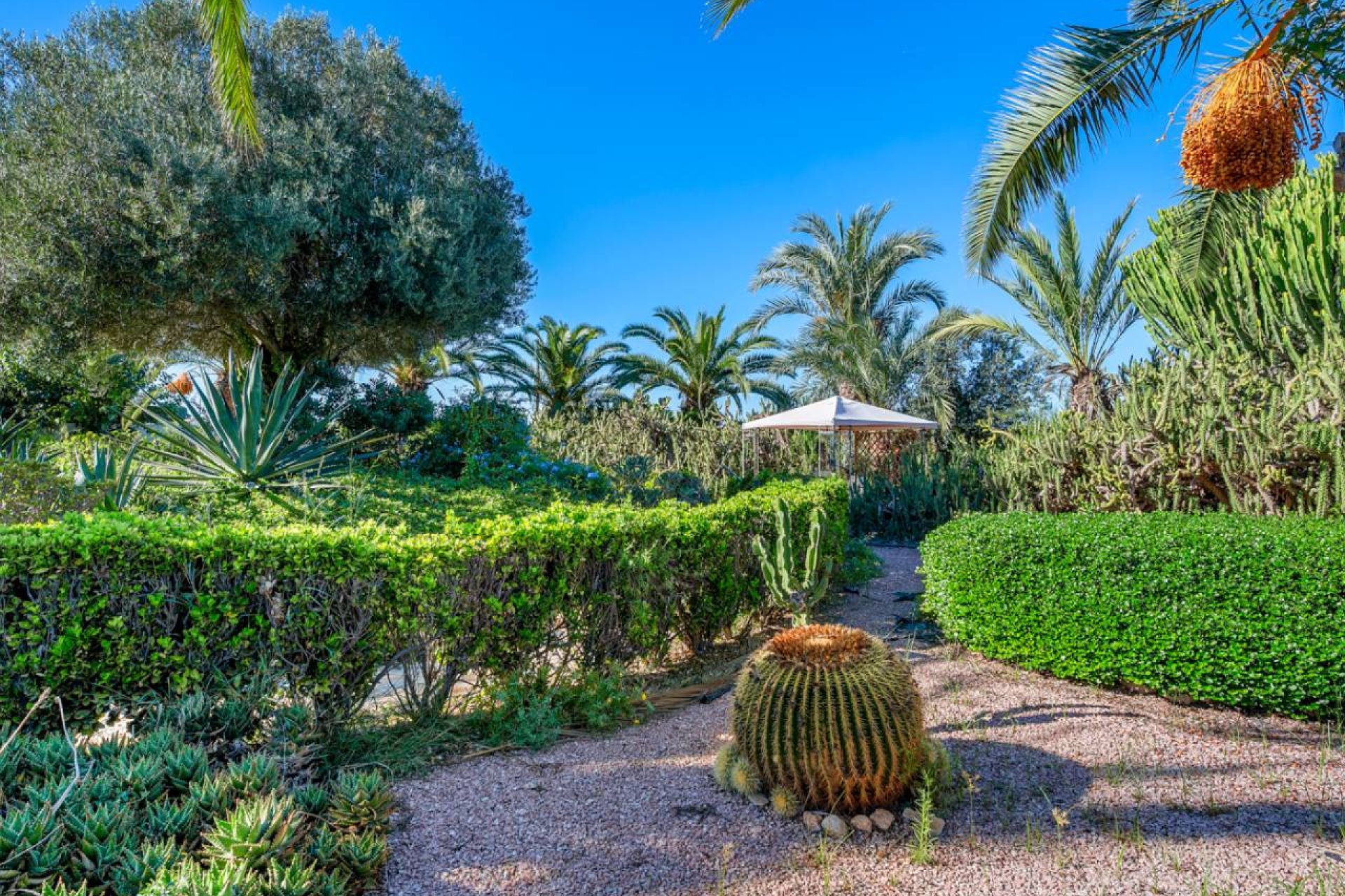 Reventa - Finca -
Los Montesinos