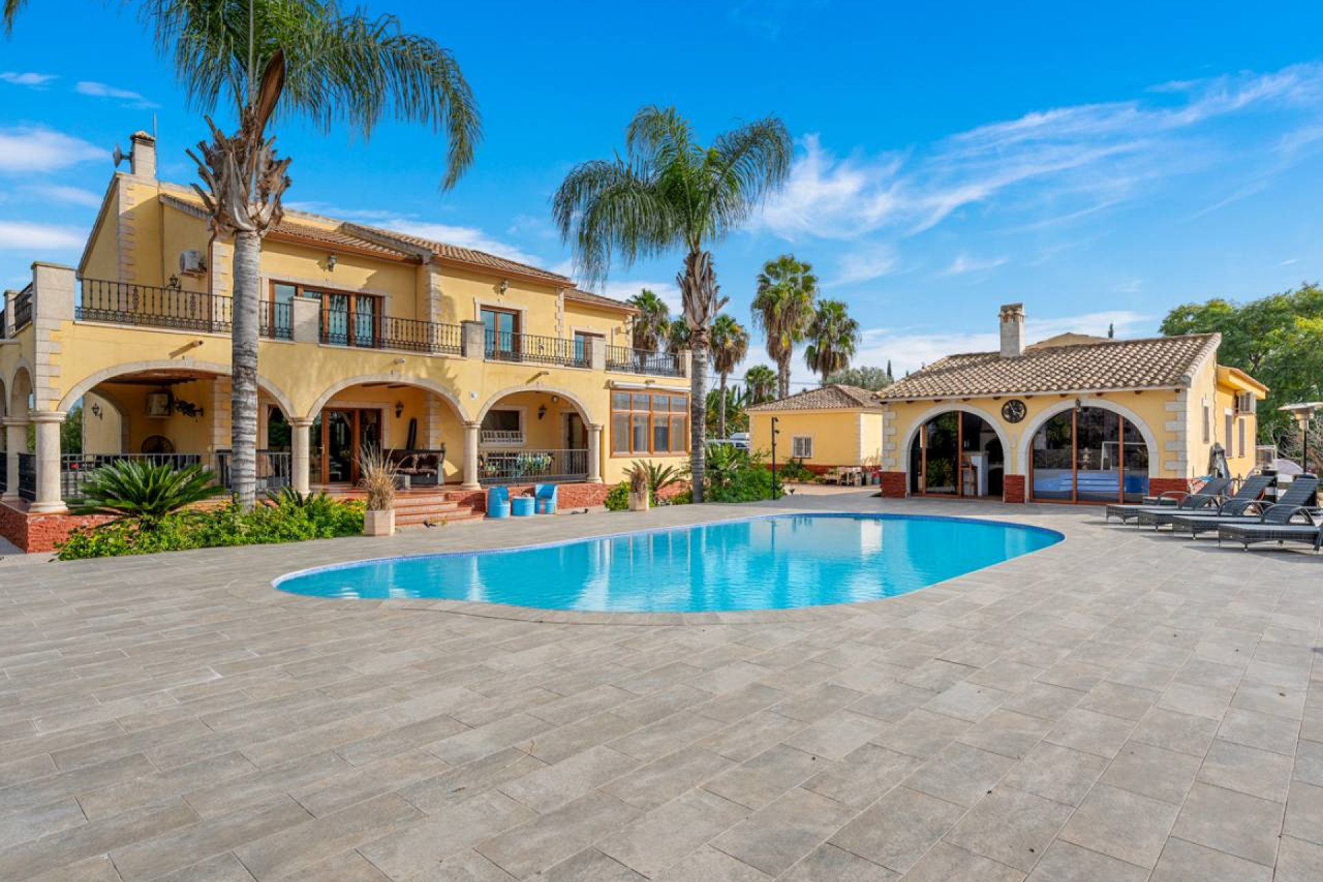 Reventa - Finca -
Orihuela
