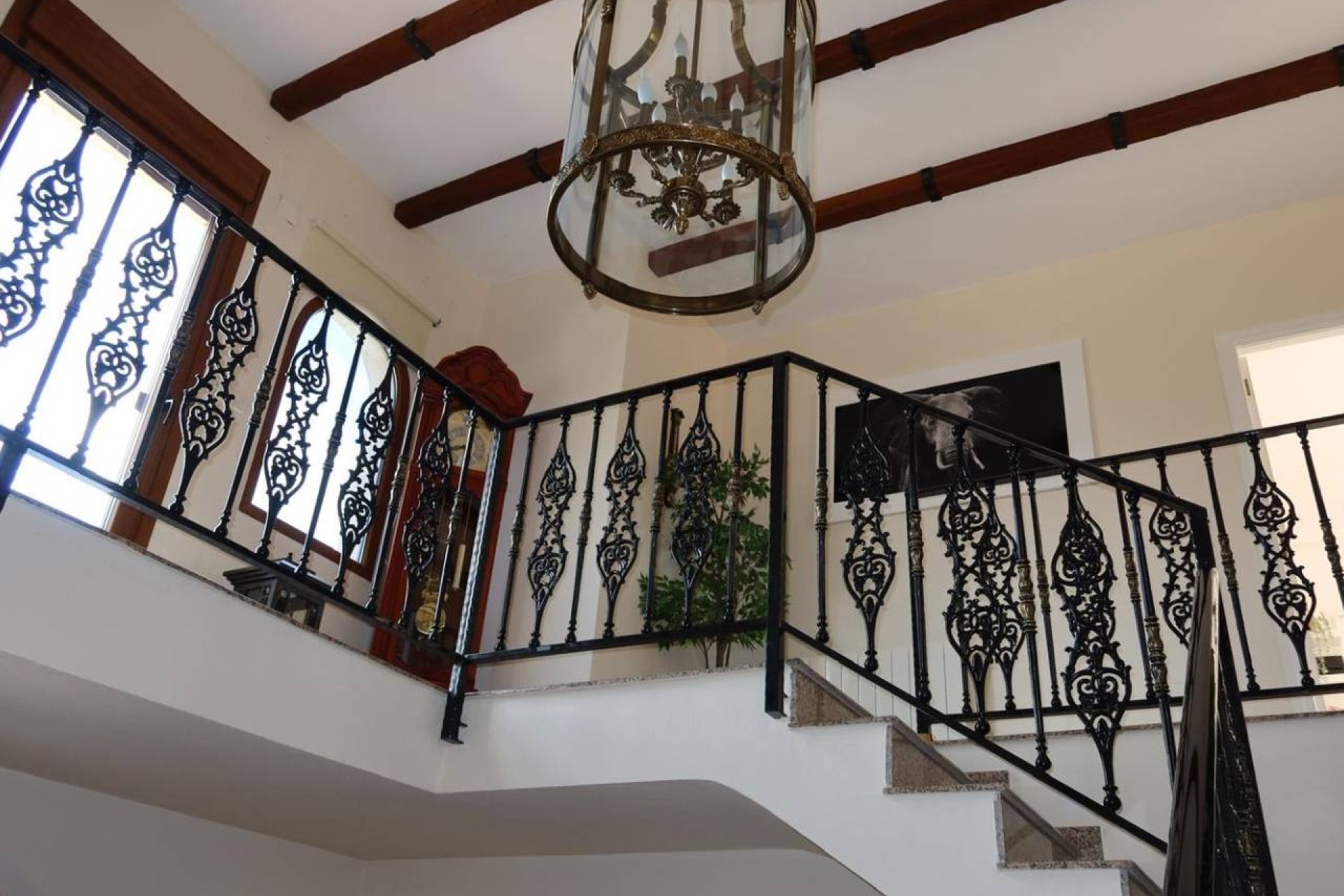 Reventa - Finca -
Orihuela