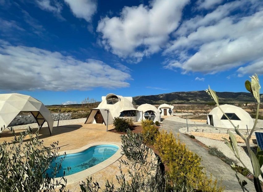 Reventa - Finca -
Pinoso