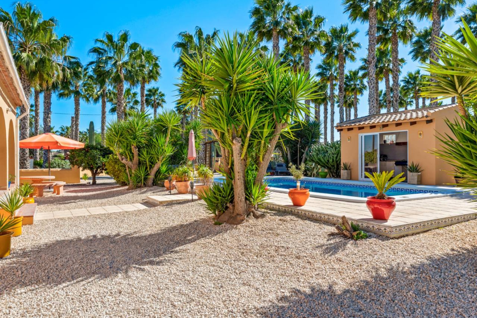 Reventa - Finca -
Rafal