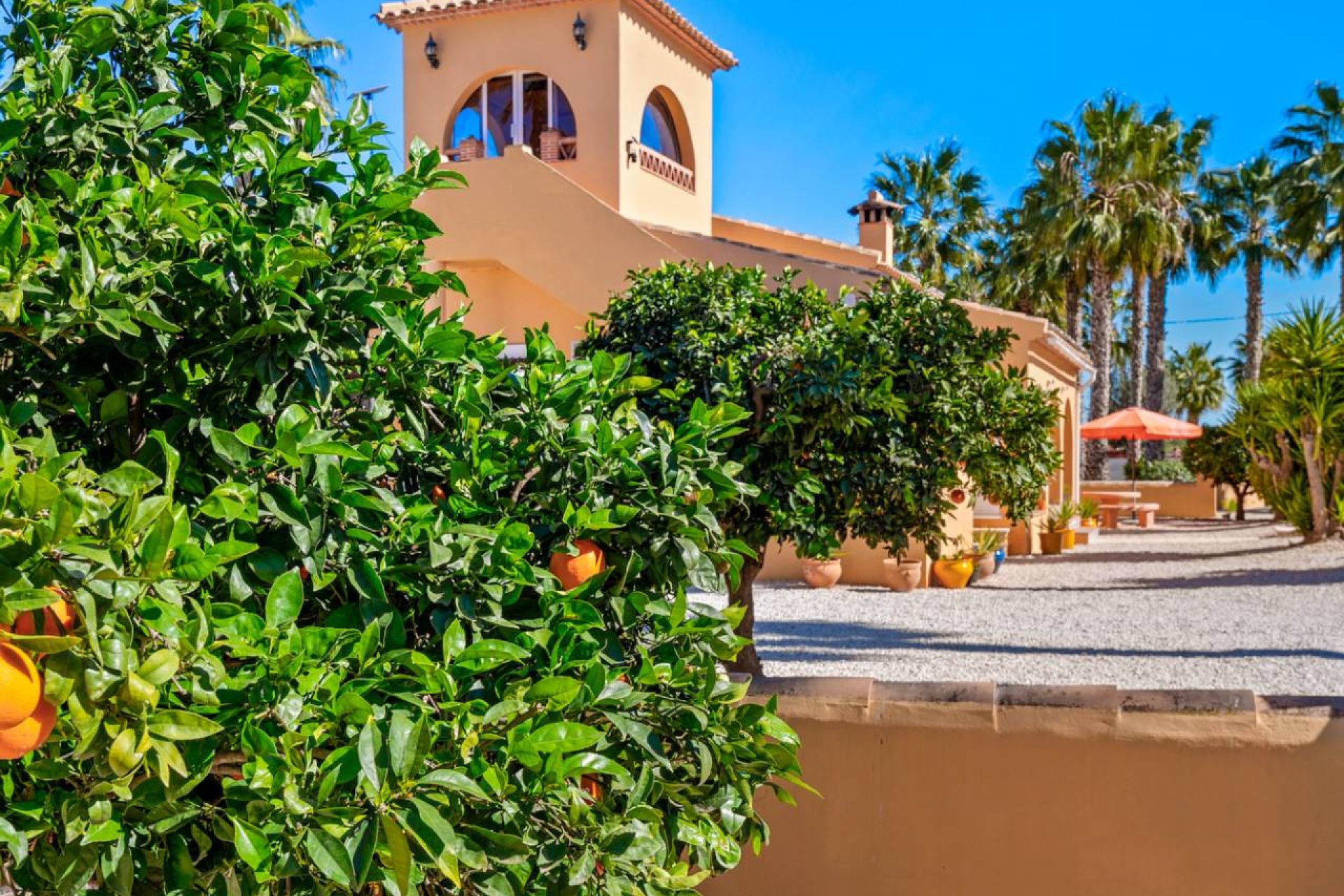 Reventa - Finca -
Rafal