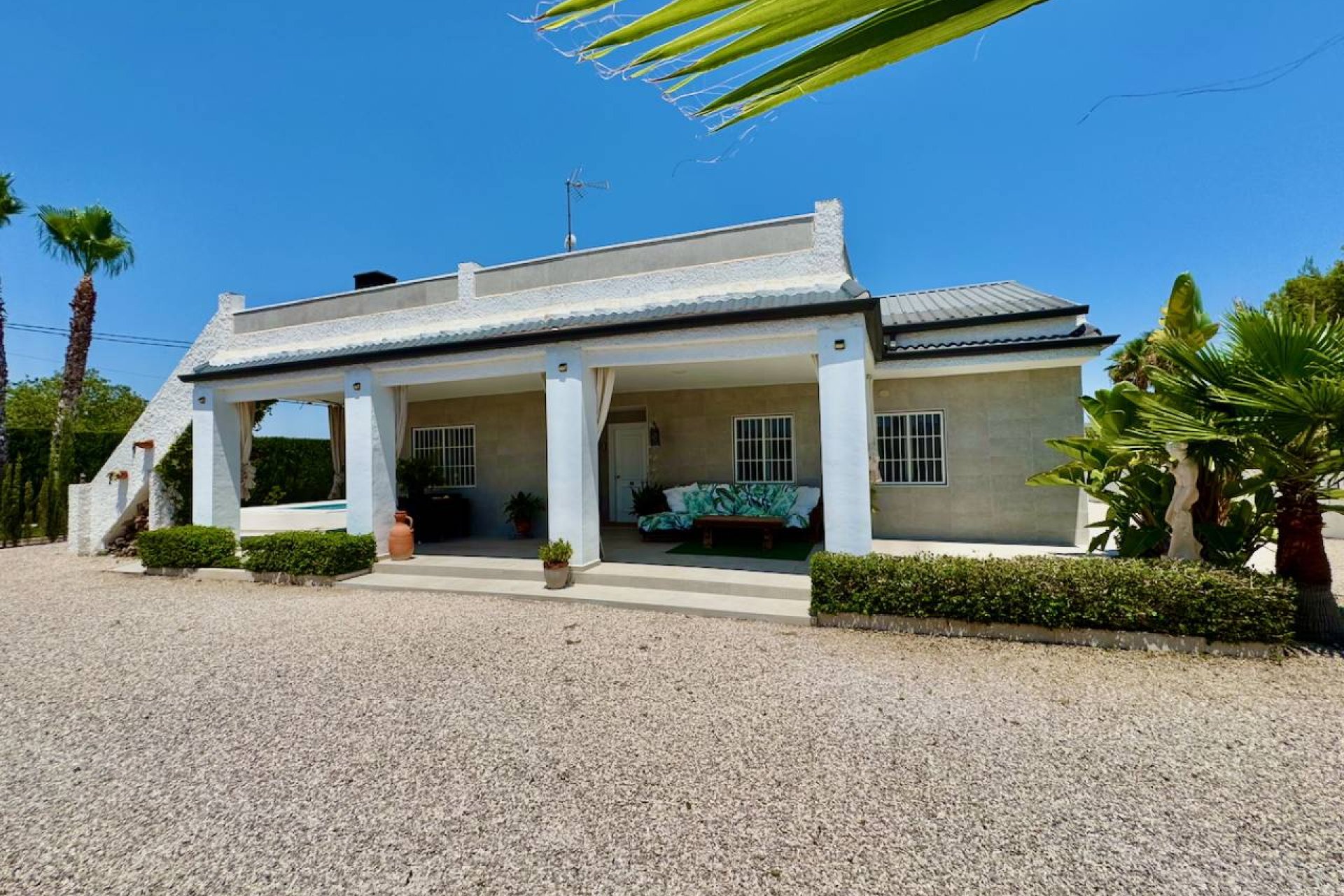Reventa - Finca -
Torrellano