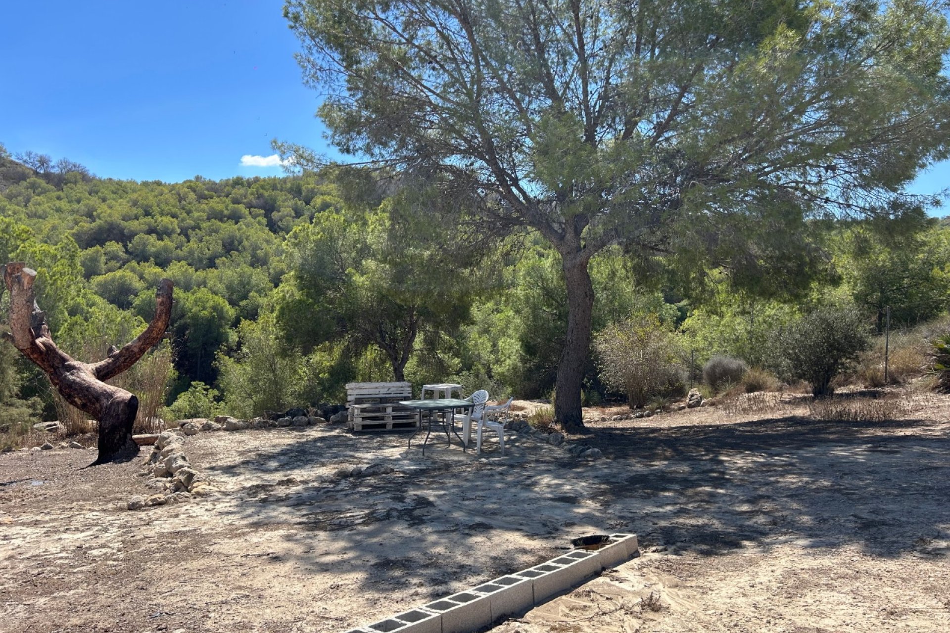Reventa - Finca -
Torremendo