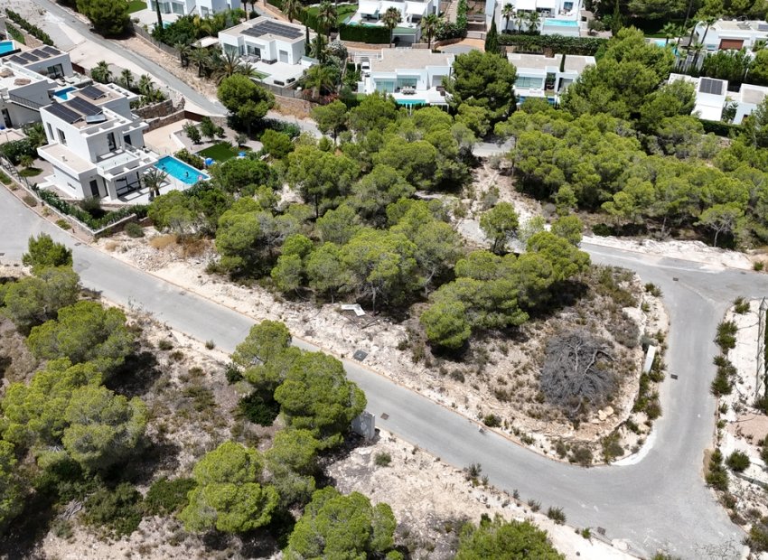 Reventa - Parcela -
Dehesa De Campoamor - Las Colinas Golf Resort