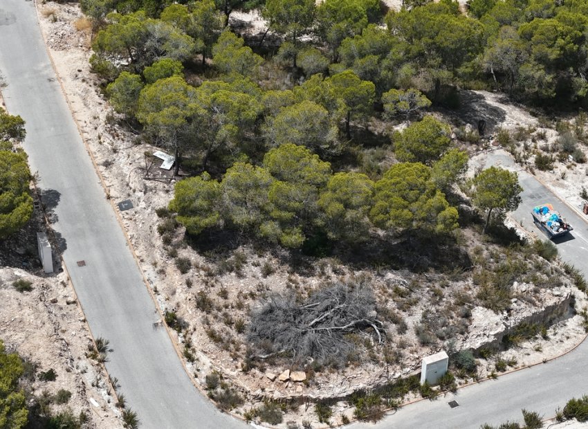 Reventa - Parcela -
Dehesa De Campoamor - Las Colinas Golf Resort