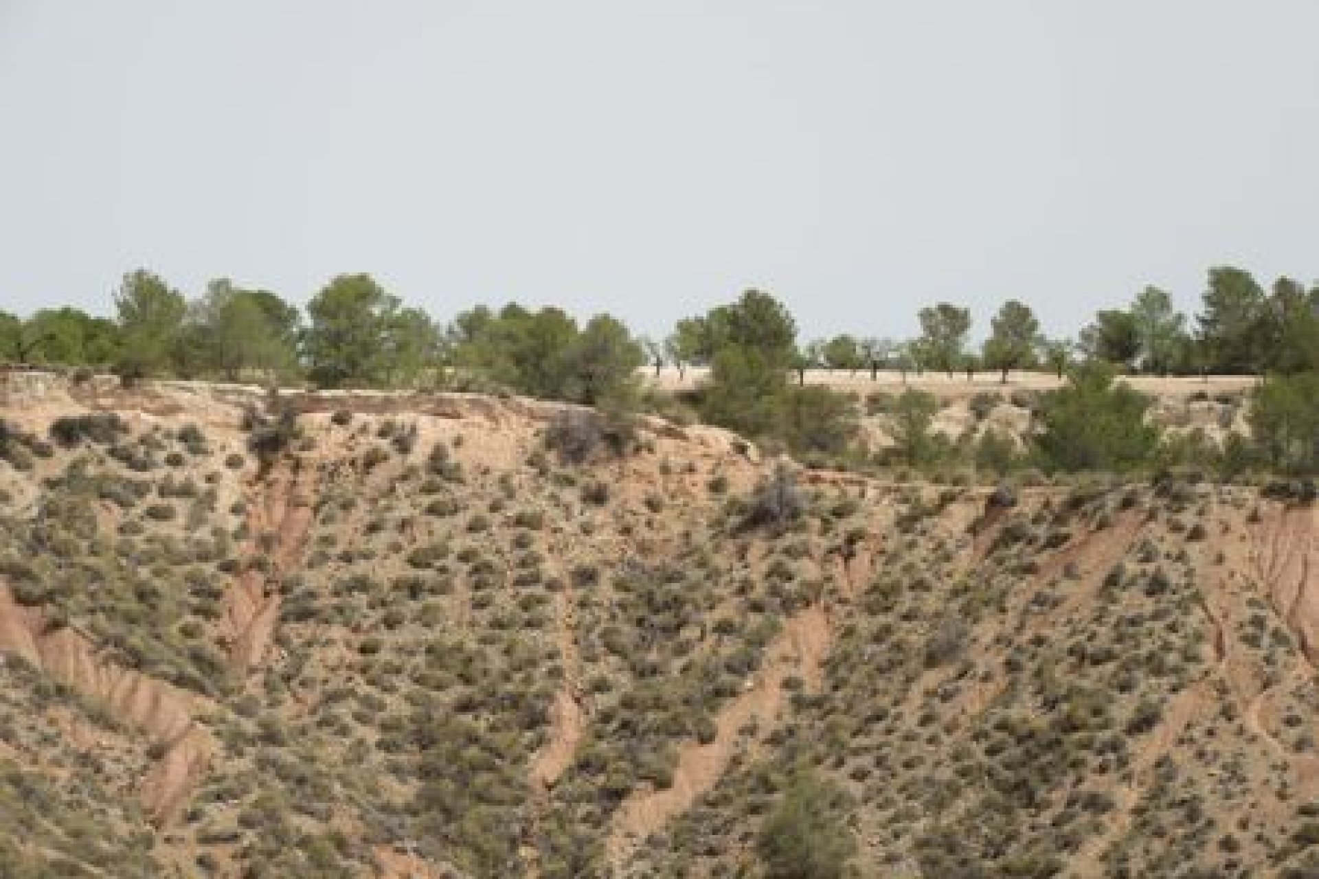 Reventa - Parcela -
Murcia