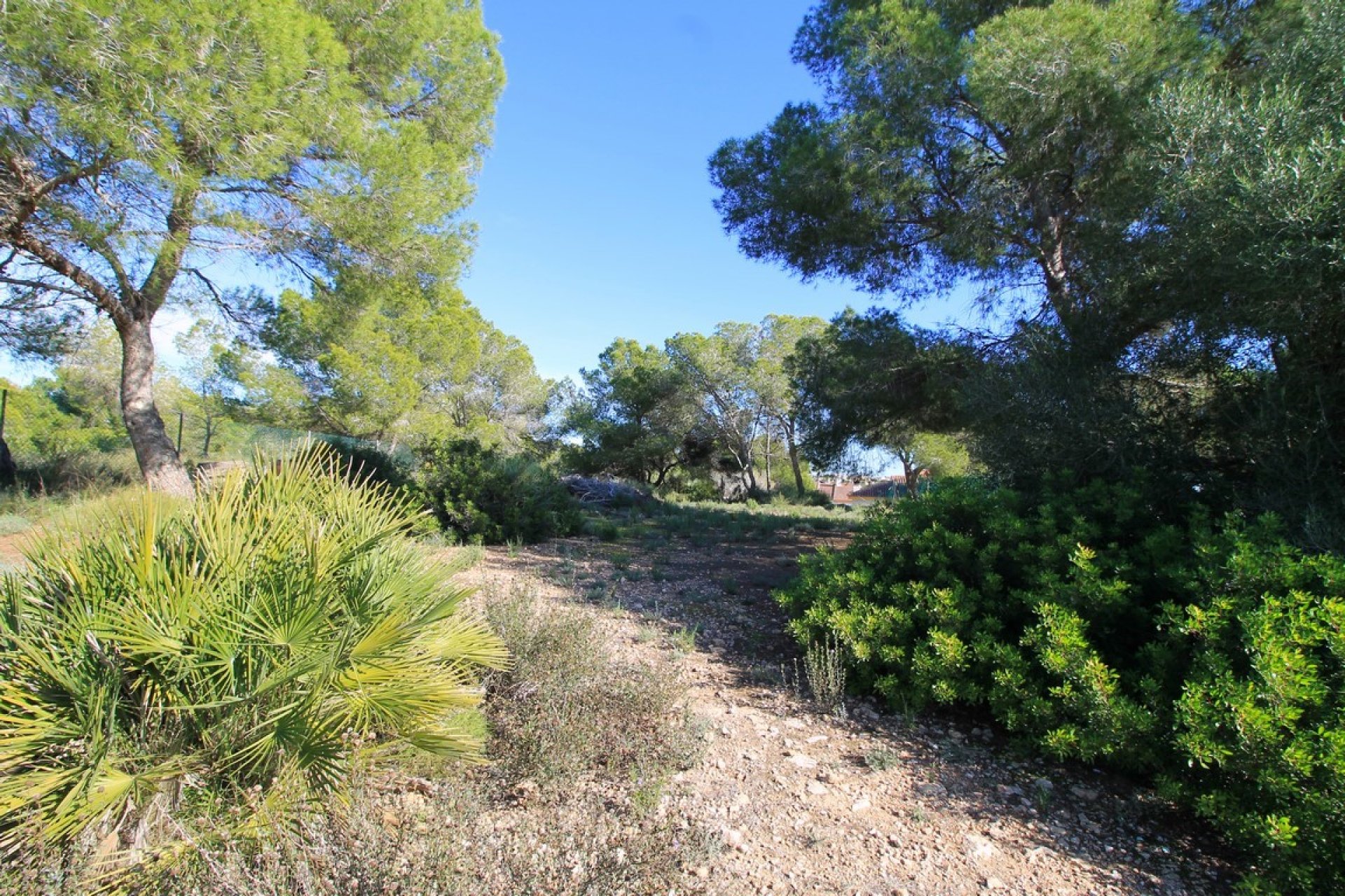 Reventa - Villa -
Orihuela Costa - Mil Palmeras