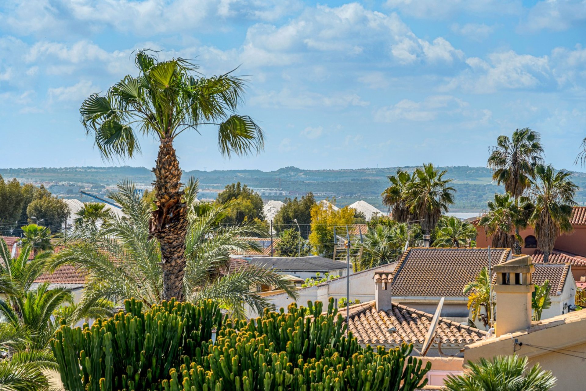 Reventa - Villa -
Torrevieja