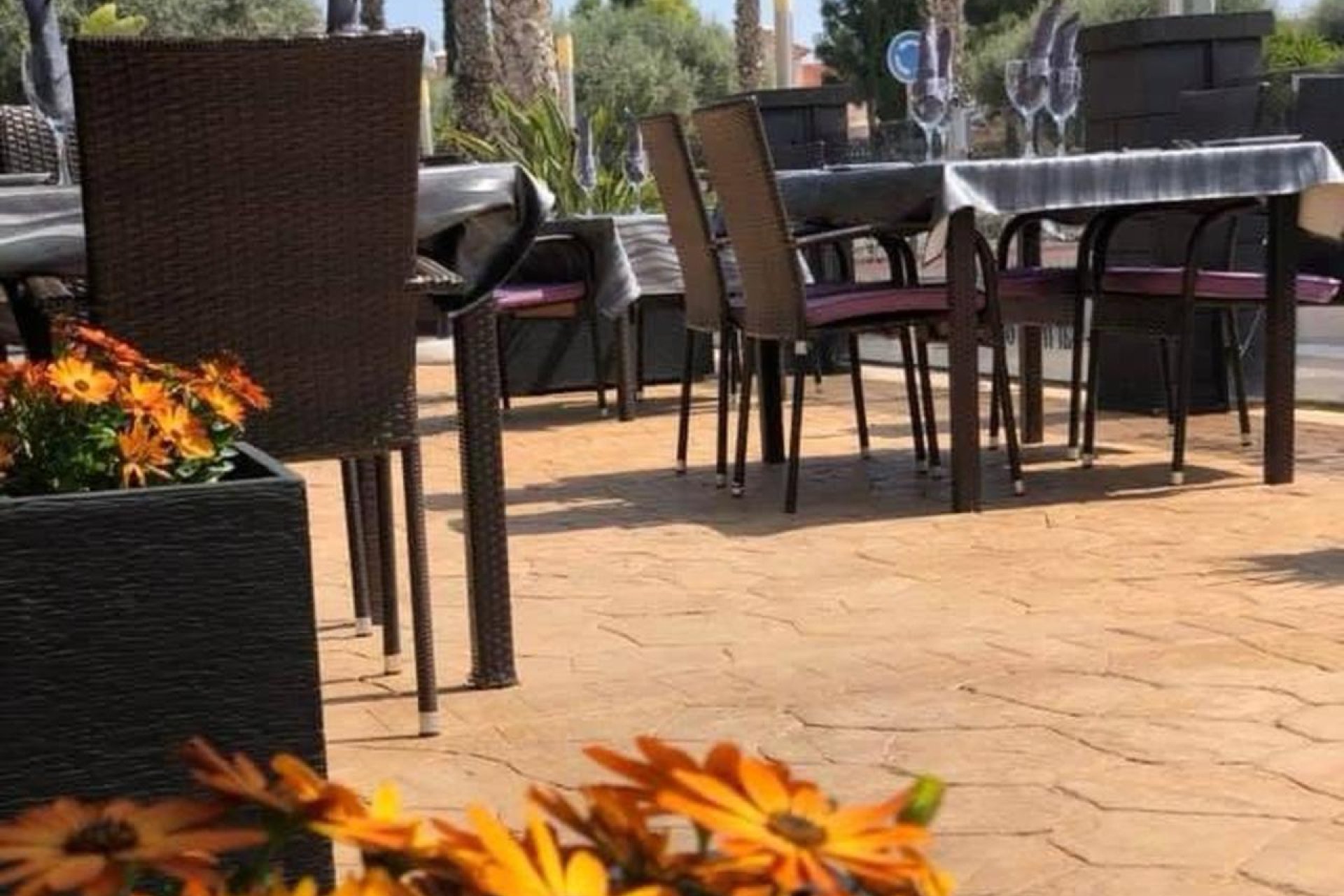 Se vende: Restaurante de éxito en El Raso, Guardamar – 320 m², totalmente equipado