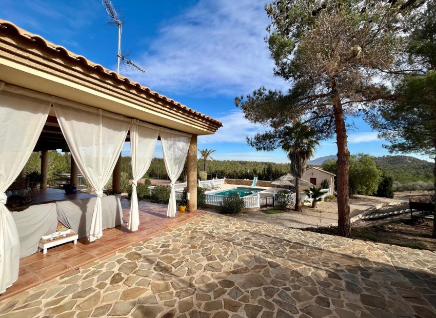 ﻿Spacious 4-bed finca with private pool and mountain views in El Esparragal