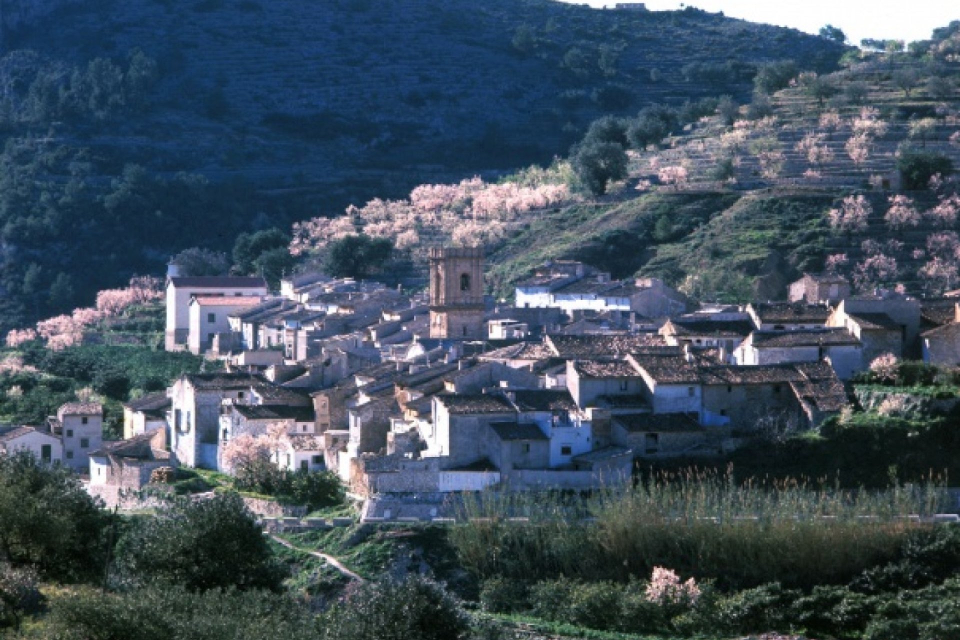 Spacious townhouse in Bolulla, 6 bedrooms, 3 bathrooms, beautiful nature