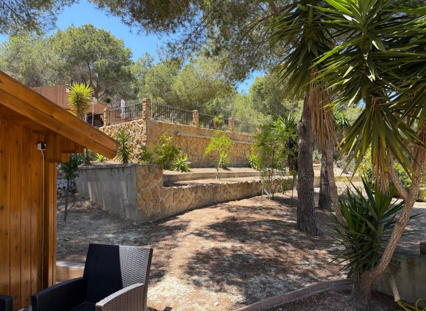 Sunny finca with private pool and guest house in Torremendo