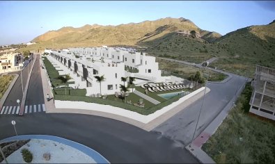 terraced - New Build - Cox -
                Cox