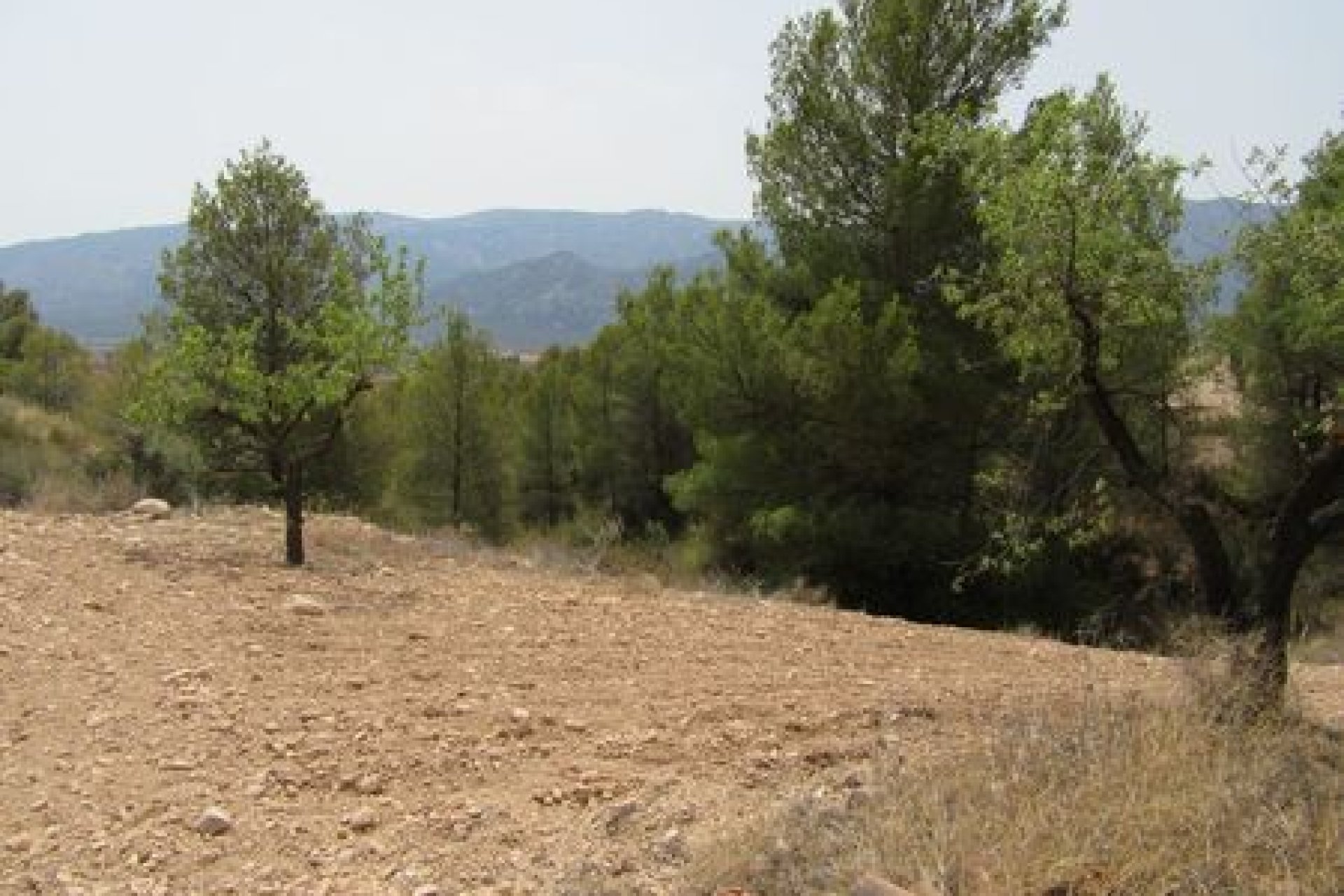 Terreno edificable de 55 000 m² en Murcia con vistas al Parque Nacional de Espuña