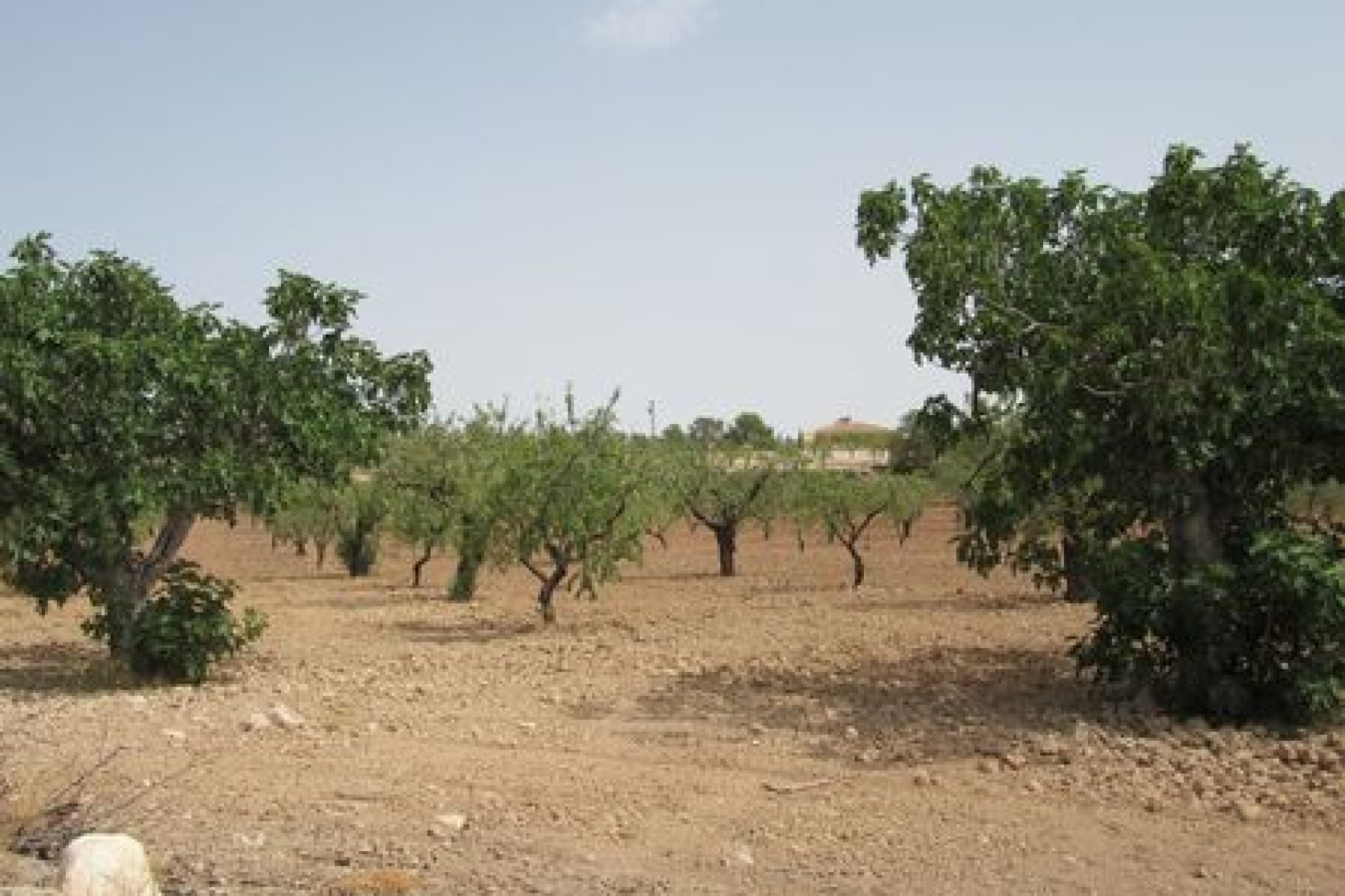 Terreno edificable de 55 000 m² en Murcia con vistas al Parque Nacional de Espuña