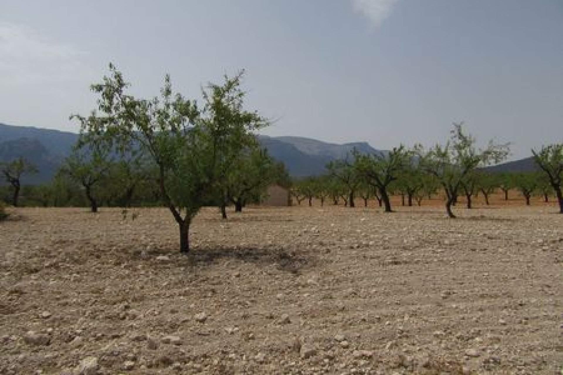 Terreno edificable de 55 000 m² en Murcia con vistas al Parque Nacional de Espuña