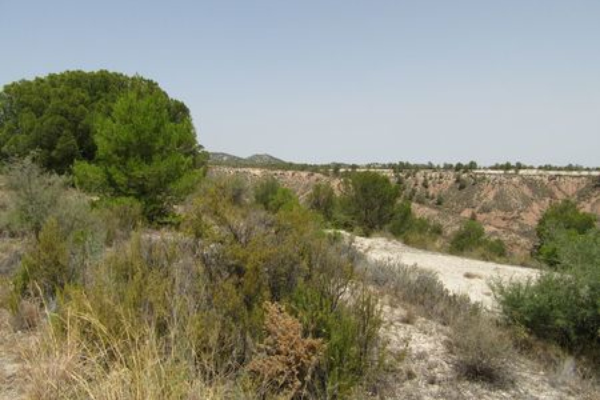 Terreno edificable de 55 000 m² en Murcia con vistas al Parque Nacional de Espuña
