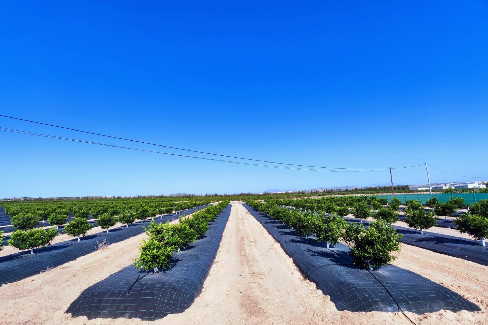 Unieke finca met 5 slaapkamers, privézwembad en uitzicht op bergen in San Miguel de Salinas