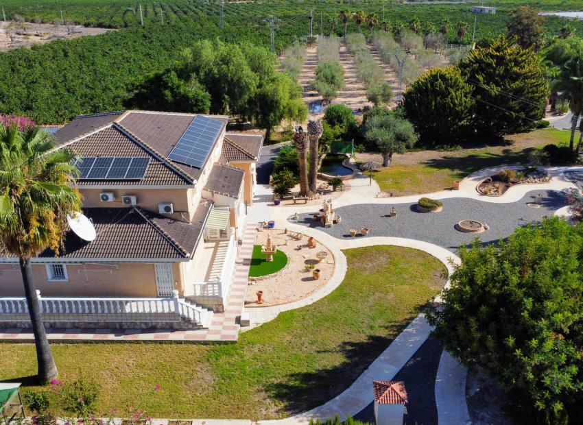 ﻿Unique 5-bedroom finca with a private pool and mountain views in San Miguel de Salinas