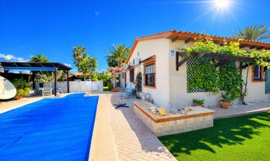 Villa - Bestaande bouw - Cabo Roig -
                Cabo Roig