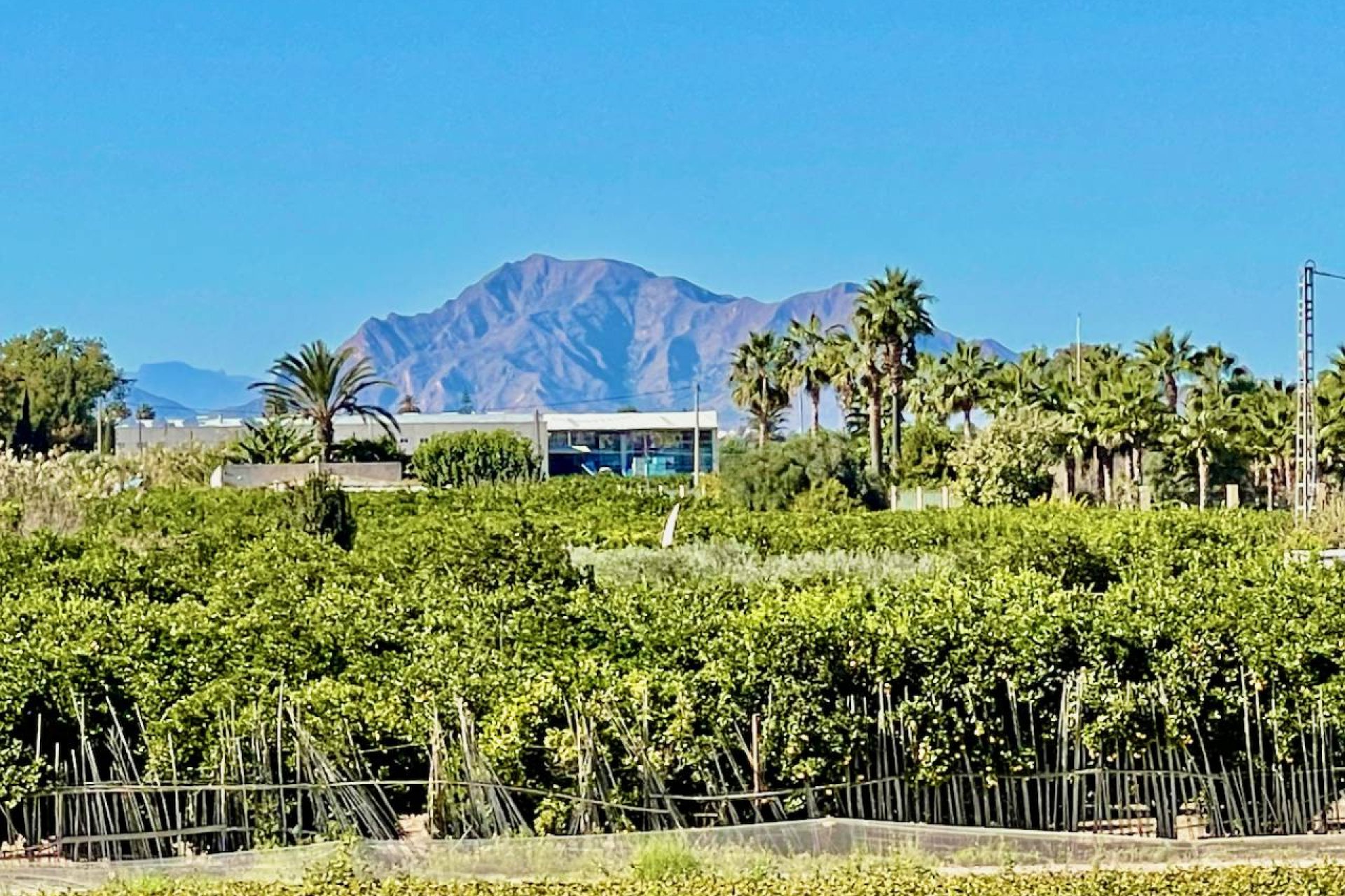 Villa de lujo de 6 dormitorios con piscina privada y vistas panorámicas en Guardamar
